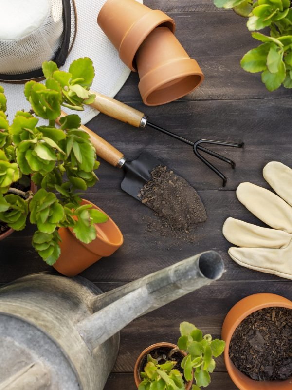 plants-gardening-tools-close-up