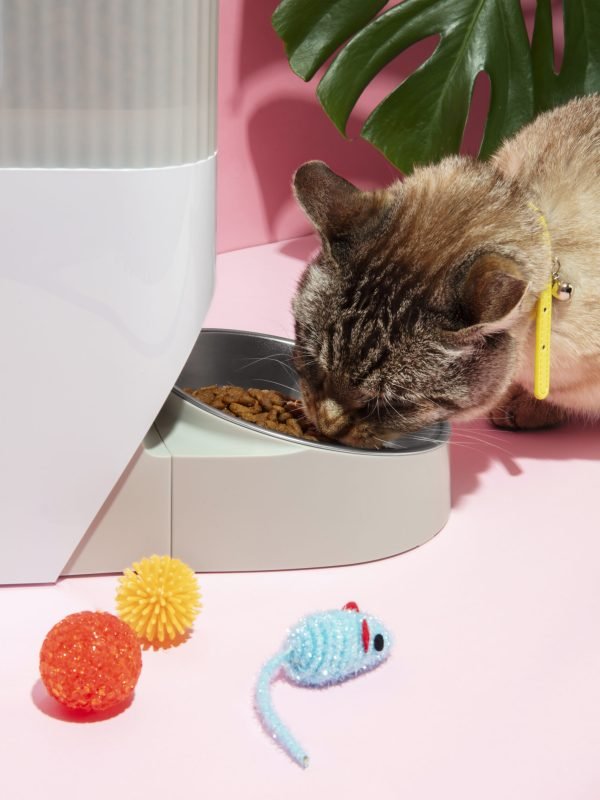 smart-feeder-pets-still-life